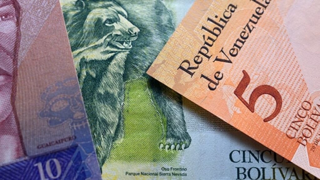 Seguros Social Venezolano: Todo lo que debes saber sobre beneficios y pensiones